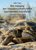 "Die Haltung der Steppenschildkröten Agrionemys horsfieldii"