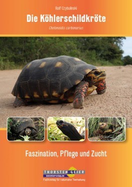 "Die Köhlerschildkröte Chelonoidis carbonarius"