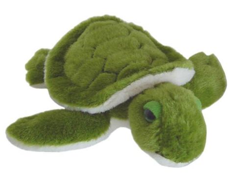Meeresschildkröte grün ca. 13cm